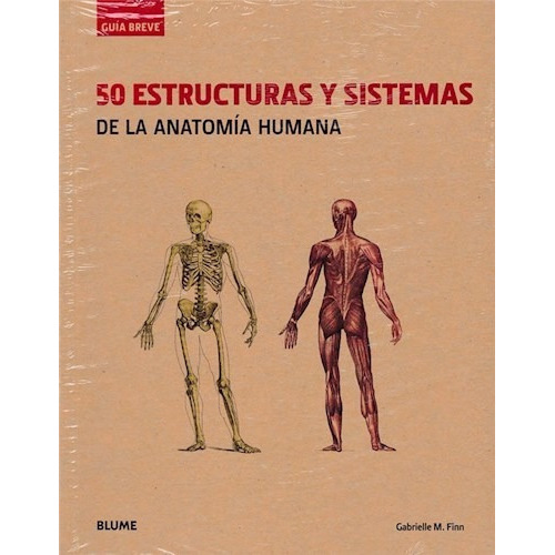 50 Estructuras Y Sistemas De La Anatomía Humana, De Gabrielle M. Finn. Editorial Blume, Tapa Blanda En Español