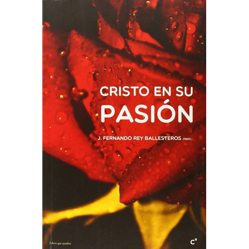 Cristo En Su Pasion, De Rey Ballesteros, Fernando. Editorial Cobel Comunicacion En Español