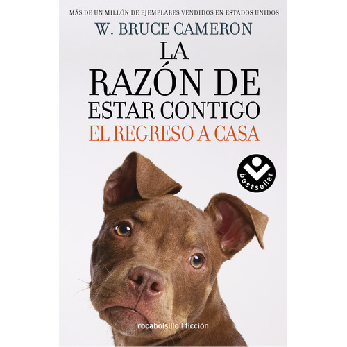 Razón De Estar Contigo. El Regreso A Casa  - Bruce Cameron