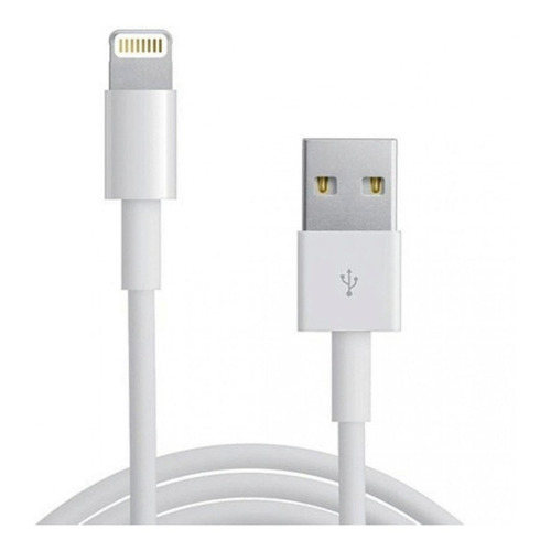 Apple A1510 USB a Lightning Color Blanco