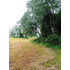 Venta Hermosa Parcela En Sector Rofuco Alto, La Unión