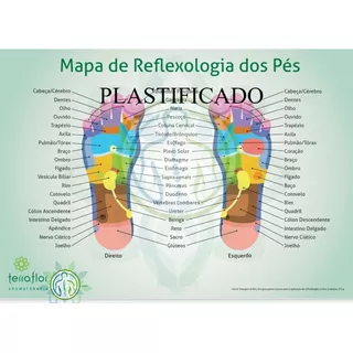 Mapa De Reflexologia Dos Pés Reflexologia Podal Massagem