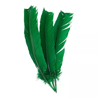 Plumas E Penas De Pato 25 Uni  Verde Bandeira