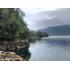 Paraíso En Isla Llancahue, Hualaihue Patagonia Chilena