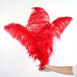 Plumas De Avestruz Para Decorações, Arranjos E Ambientes Cor Vermelho