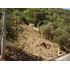 Sitio En Venta En Vitacura Santa Maria De Manquehue