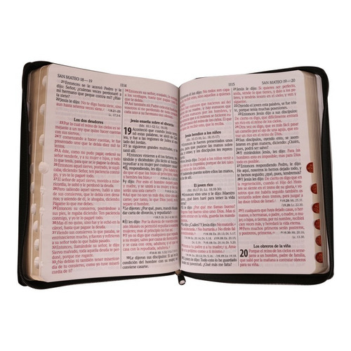 Biblia Reina Valera 1960 Letra Gigante Con Cierre E Índice