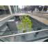 Oficina Planta Completa | Terraza Uso Exclusivo | ...