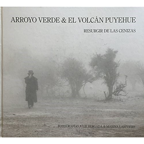 Arroyo Verde & El Volcan Puyehue De Marina Lar, de Marina Lariviere. Editorial Larivière en español