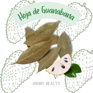 Hoja De Guanabana Producto De Calidad 500 Grs