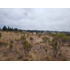 Inversión Segura Parcela 5042 M2 Con Vistas Y Pozo Propio