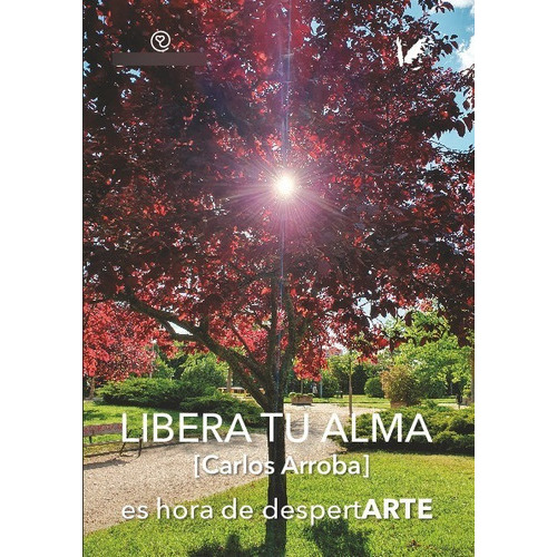 Libera tu alma, de Arroba Diaz, Carlos. Editorial ANGELS FORTUNE EDITIONS, tapa blanda en español, 2023