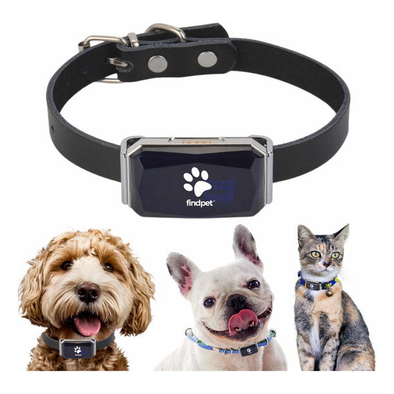 Findpet Gps Localizador Rastreador Mascotas Perros Gatos