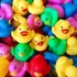 ~? Sunioine 50-pack Multicolor Rubber Ducky 2 Pulgadas Bulk 