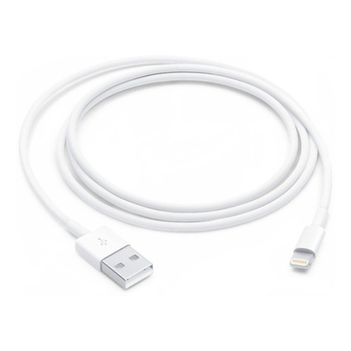 Cable De Conector Apple Lightning A Usb (1 Metro) Blanco