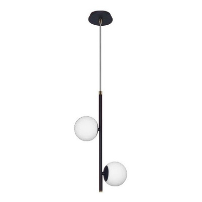 Colgante Texas 2 Luces Negro Globo Opal Apto Led G9 Deco Rd