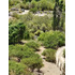 Alcohuaz Valle Elqui  Borde Rio  1.9 Ha  (121502)