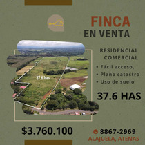 Finca En Venta, Alajuela, Atenas