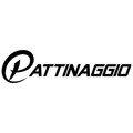 Pattinaggio Roller