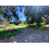 Terreno Plano Con Cerco Y Acceso Proximo Al Rio Claro