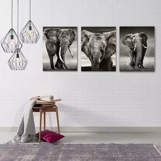 Set 3 Elefantes 30x40 Minimalista Cuadro Canvas Decorativo
