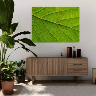 Cuadro Decorativo Planta Natural Verde En Canvas 80x60