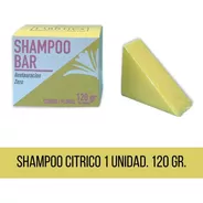Shampoo Solido Citrico Sin Sulfatos Ni Siliconas La Botica Eco