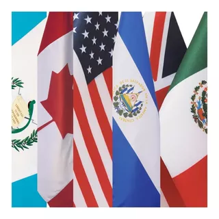 01 Bandera País De La Onu 30 X 50 Con Jareta Doble Impresión