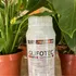 Herbicida Glifosato 1l - No Selectivo - Elimina Todo - Envío
