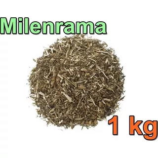 1 Kilo De Milenrama Orgánica Planta Seca Mil En Rama