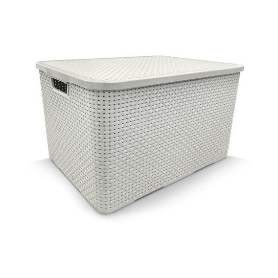 Arqplast - Caja organizadora de ratán con tapa (40 l), color blanco