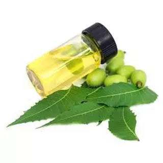 Aceite De Neem Puro Virgen 5 Litros Super Oferta