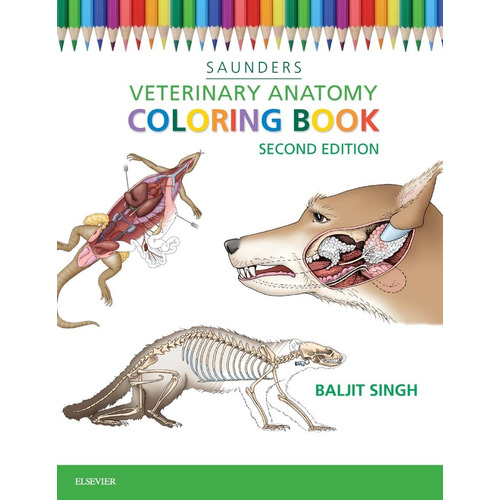Libro Para Colorear De Anatomia Veterinaria 2da Edición