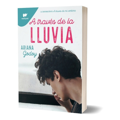 A Traves De La Lluvia - Ariana Godoy - Montena - Libro