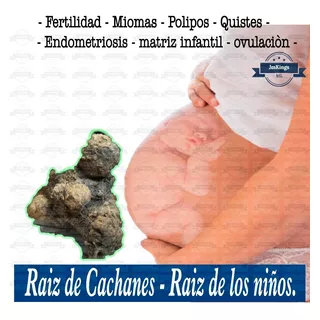 Jmk Natural  | Raíz De Cachanes Tratamiento Completo 250 Gr,