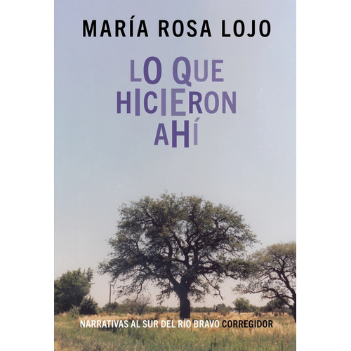 Lo Que Hicieron Ahi, De Maria Rosa Lojo. Editorial Corregidor, Tapa Blanda En Español, 2023