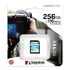 Sdg3/256gb Memoria Sd Canvas Go Plus 256 Gb