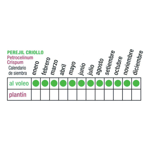 Semillas Aromaticas Ecoproductos Perejil Criollo