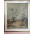 Cuadro Al Óleo Firmado Dante Cola, Mide 61x71cm. (Usado)