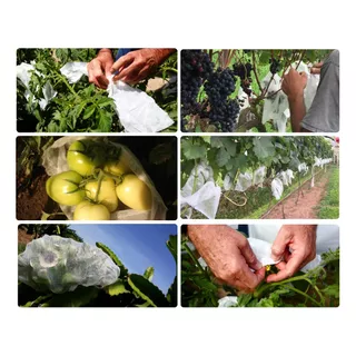 Sacos Agro Tnt C/ Elástico 18x26cm Proteção Frutas 1.000 Un