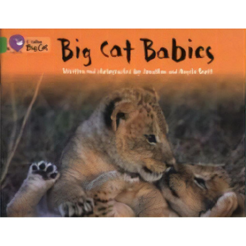 Big Cat Babies - Band 5 - Big Cat, De Scott, Angela & Jonathan. Editorial Harper Collins Publishers Uk En Inglés, 2005