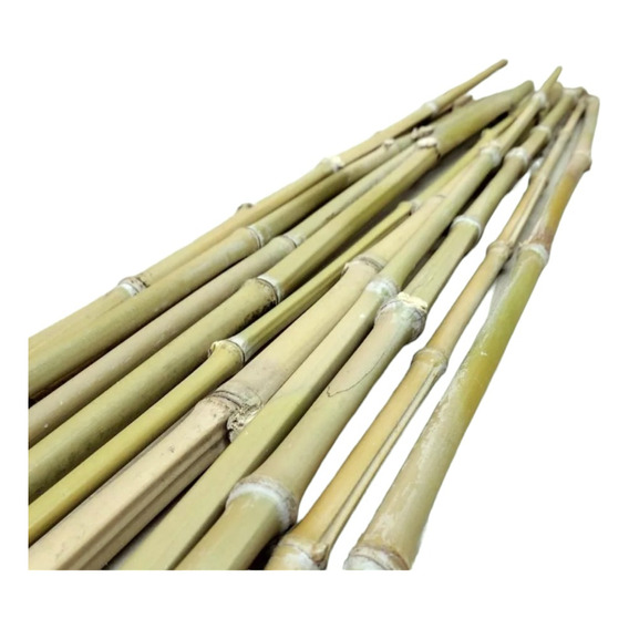 200 Varas De Bambú / Tutores Manualidades Jardinería 100cm V
