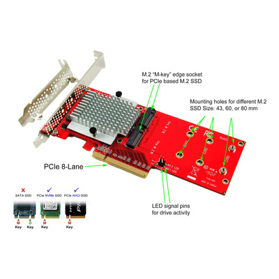 Ableconn Tarjeta Adaptadora Pexm2-130 Dual M.2 Pcie Nvme Ss.