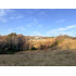 Cod40127 Agrícola En Venta En Cunco 15 Ha. Con Vertiente