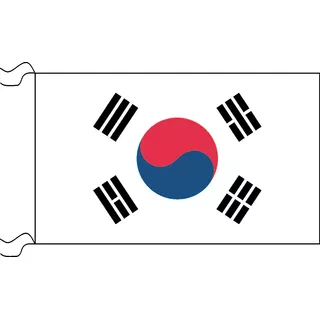 Bandera De Corea Del Sur Estampada De 150 X 90 Cm