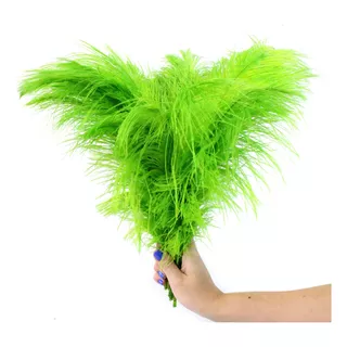 Plumas Palito Para Arranjos E Decoração Festa Debutante 100g Cor Verde-limão