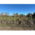 Venta De Terrenos  Sector Los Rulos