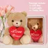 Peluches De San Valentín Para Novia: Regalos Románticos 