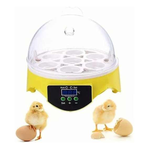 Mini Incubadora Digital Ca 110v Para 7 Huevos,