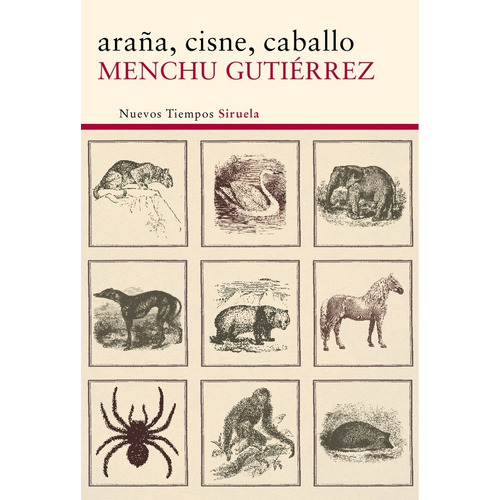 Araña Cisne Caballo - Gutierrez, Menchu